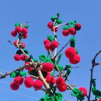 دوخت انواع بافتنی ،قبول سفارشات عمده وتک