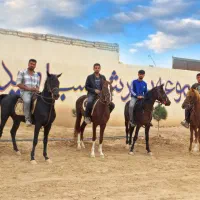 باشگاه سوارکاری