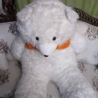 یک عدد خرس تدی
