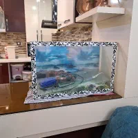 آکواریوم بزرگ و زیبا
