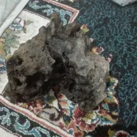 سنگ کلکسیونی