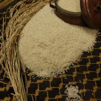 برنج طارم هاشمی اعلا