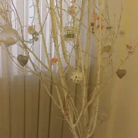 درخت آرزوها