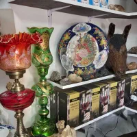 فروش انواع لاله مذهبی وغیره