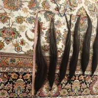 60 سانت موی طبیعی رنگ نشده 150 گرم