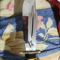 شکاری غلاف دار