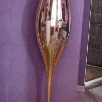 گلدون کنارسالنی