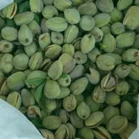 بادام با پوست تازه درجه یک (درشت.شیرین)