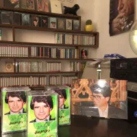 مجموعه برنامه رادیویی برگ سبز محمدرضا شجریان