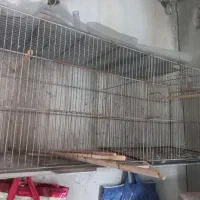 قفس پرنده