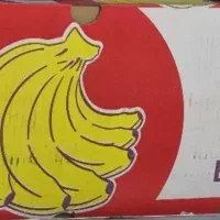 کارتن موز