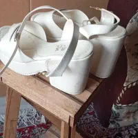صندل عروس