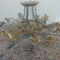 لوست چهارشاخه سیزده تالامپ میخوره