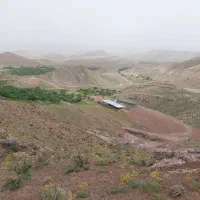 دامداری