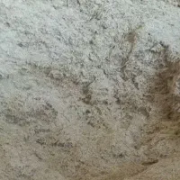 کاه گندم دیم درجه ۱