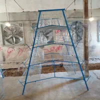 قفس مرغ تخمگذار