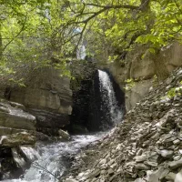 طبیعت گردی یکروزه