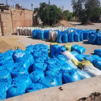 جو محلی