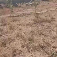 فروش زمین در روستای الوارس چشمه های اب معدنی