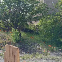 زمین مسکونی ویلایی سند مجزا ۲۷۴ و ۲۸۰ متر خوانسار