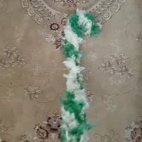 پر و طبل|درام و پرکاشن|اسلام‌شهر, شهرک قائمیه|دیوار