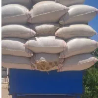 کاه گندم دیم درجه 1