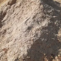 کاه گندم