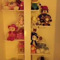 کتابخانه چوبی و جلو مبلی عسلی