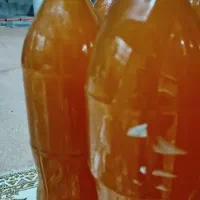 آبغوره تازه 300هزار