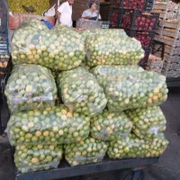 لیمو ترش 165شاهین شهر گلدیس