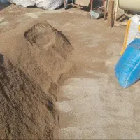 تفاله خرما جهت خوراک دام و طیور