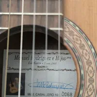 گیتار اسپانیایی حرفه ای