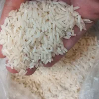 برنج هاشمی ارگانیک دانه درشت
