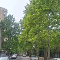 اپارتمان ۱۲۵ متری جهانشهر بیژن غربی بهترین لوکیشن