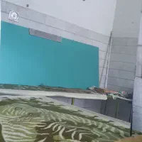 آینه و نیوین