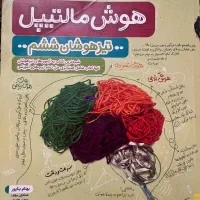 کتاب هوش مالتیپل درحدنو