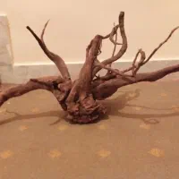 معاوضه|ماهی|قوچان, |دیوار