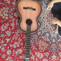 گیتار سالم پول لازم