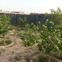 800 متر|فروش زمین و ملک کلنگی|مشهد, درزآب|دیوار