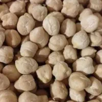 نخود پزا کرمانشاه مال امسال