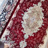 فرش|فرش|سقز, |دیوار