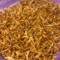 پیاز داغ