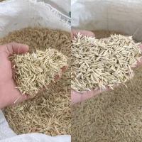 ضایعات جو