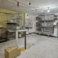 فروش سالن پرورش طوطی