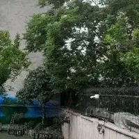 اجاره اپارتمان ۵خوابه ویلایی