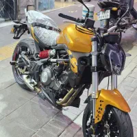 بنلی ۳۱۰جفت درحدصفرطلایی
