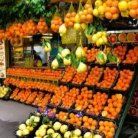 فروشنده میوه فروشی
