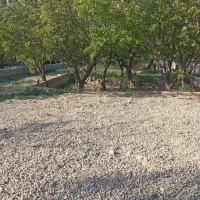 باغ و باغچه ۷۵۰ متری شهریار