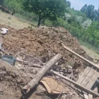 کود حیوانی