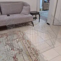 پارک سگ